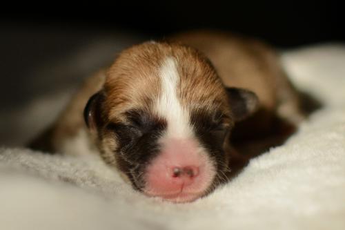 27352518 c709574f8809362e4ecff652dd2e1f73 xl