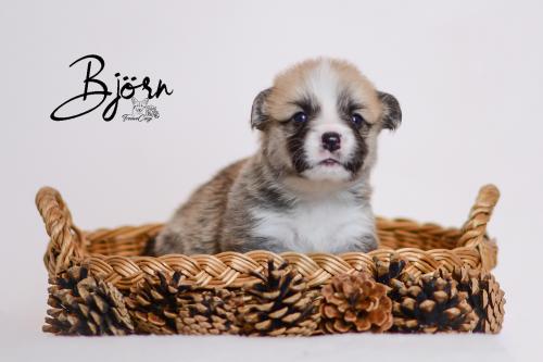 27355400 50d4e1e0e264655c26298c2bb902c090 xl