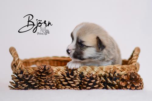 27355402 0a9645a51ed58ad42b09323428270720 xl