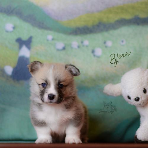 27360696 91d97e35d6d38e9e4a5920f5518ac14a xl