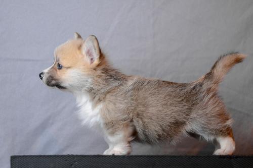 27360732 8fa740c23dccfeafd96e2974bfb995c4 xl