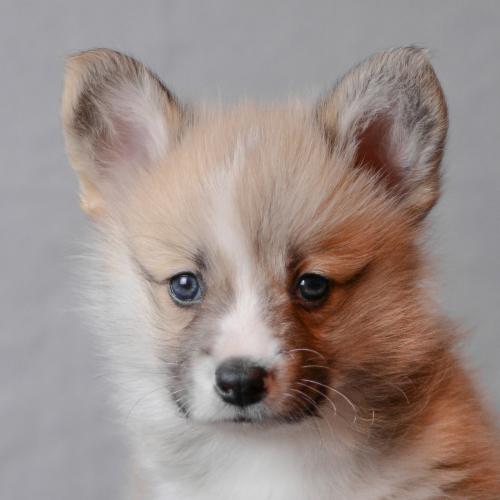 27360734 e4291f4d80fd745e7f02c0f042f78c1b xl