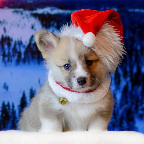 27360768 c4946cd15eca66dbf376929fef20f805 xl