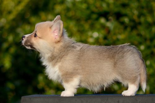 27363862 3a95b531b2f23b46b531ef81af1fc718 xl