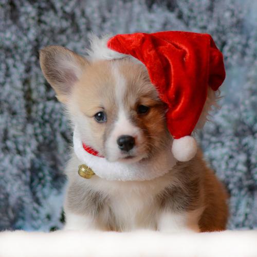 27360774 ceb3d80ed0d92eda848f0afb5cf977fd xl