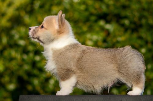 27363836 c0d50b165803fffb3004e87515ac9fb2 xl