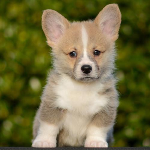 27363838 85b28e30d4133bf5b4b1645d49fa2f89 xl