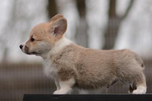 27363840 d792247eb43a79627df941eec8869567 xl