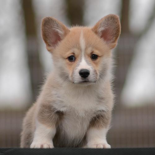 27363842 e8951ca38a9cb794bdcd5c3949111bc3 xl