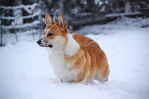 588238204 25445880455045740 490705652383277939 n