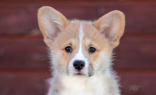 a-3-erik-10wpCOE 3142