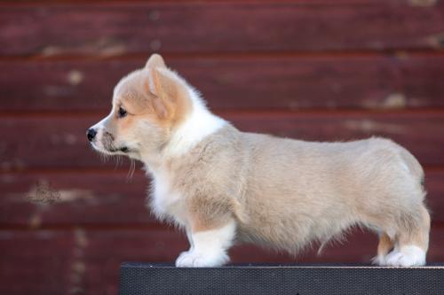 a-3-erik-10wsCOE 3192