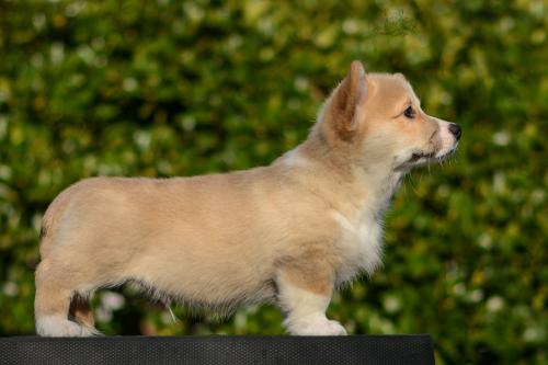 a-3-erik-11wsCOE 4290