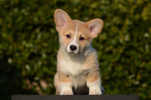 a-3-erik-12wpCOE 4757