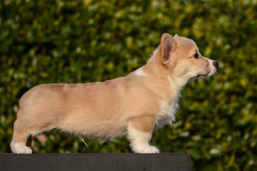 a-3-erik-12wsCOE 4781