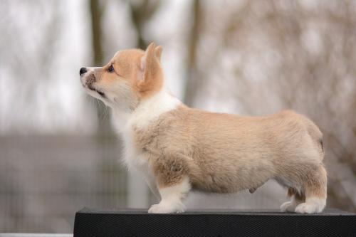 a-3-erik-9wsCOE 2598