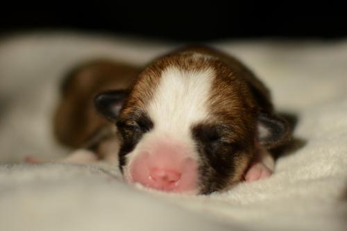 27352508 9ab557fc1466ebc826097ae231680695 xl