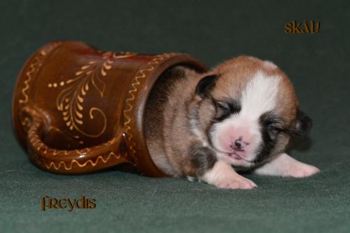 27352550 d3d25eb977dc4bb23d1a298eb9566666 xl