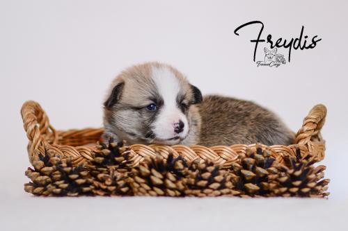 27355398 0bc89a54fff52143acc5bb9acb7c3098 xl