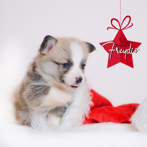 27360676 0e79641e2a52d4ad4ff284a13df07401 xl