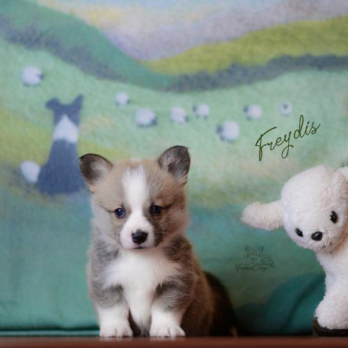 27360698 48f917807cbe87d367972e3de6117c21 xl