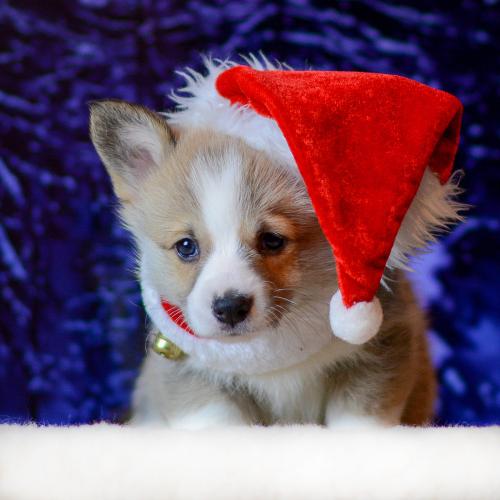 27360772 919bfe22e635b101c89bf4dc1c31daf1 xl