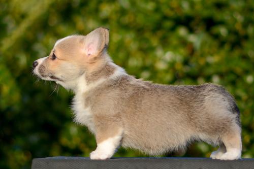 27363852 eb434482e35019638051993aee699931 xl