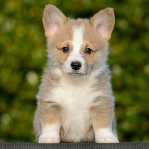 27363854 352e5ecdde49aa8ad5f71f1c458c6643 xl