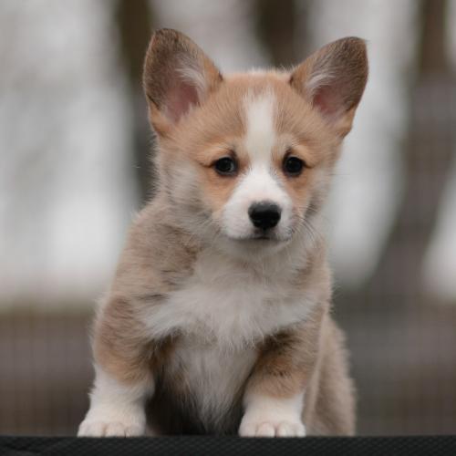 27363858 64759fc8cfc723ecf737e65ff577eafe xl