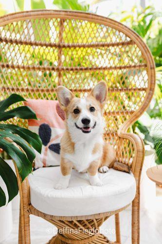 495269031 1205432120793251 3288442594435123661 n