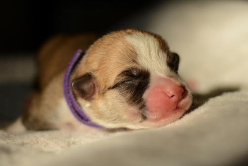 27352516 47e2c46841b98dc70f872896baeadae1 xl