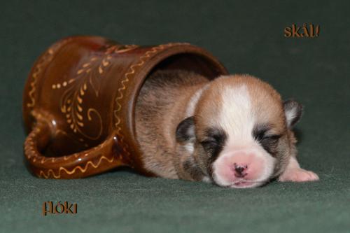 27352534 fc10f14bbe7a85f9726bb169d440d2e3 xl