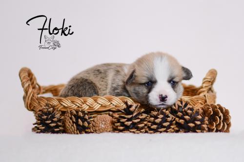 27355424 02855f059d420ef1b9b85a90d47b123b xl