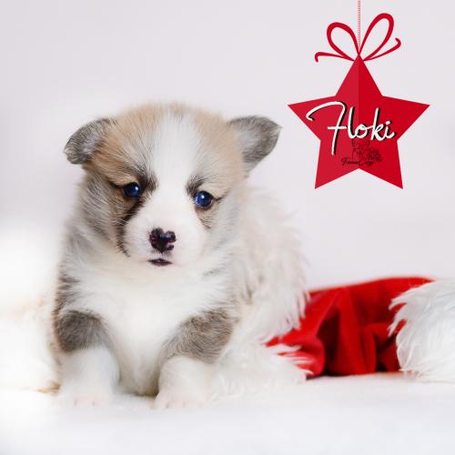 27360684 5656ee7ce9bfc5cc707a3d0442e650ec xl