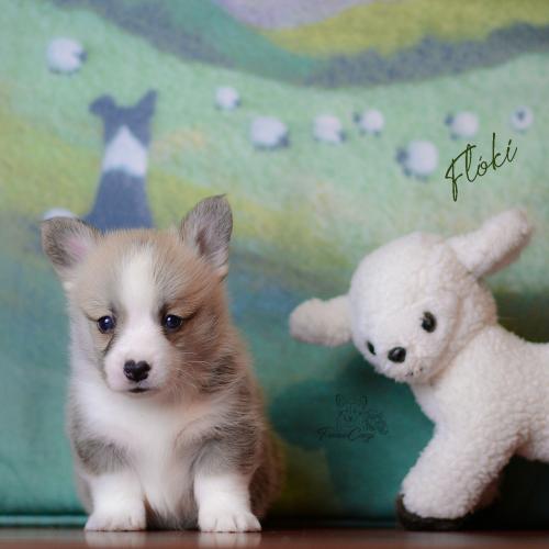 27360712 3eb057589198e6f871b2b8d10291797e xl