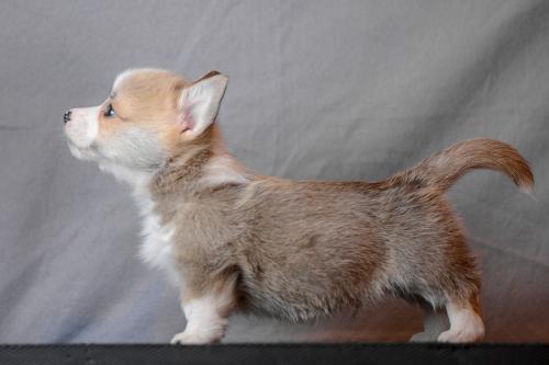 27360756 d76ecb3f1f229b959e1ffdf711e90e50 xl