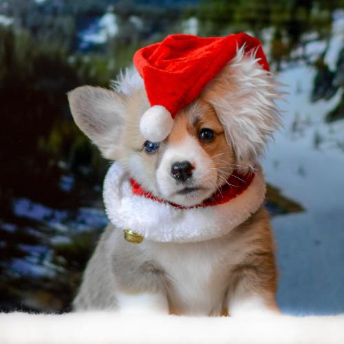 27360780 cbeb603c7415e967fa1c5c5a91bfe5b7 xl