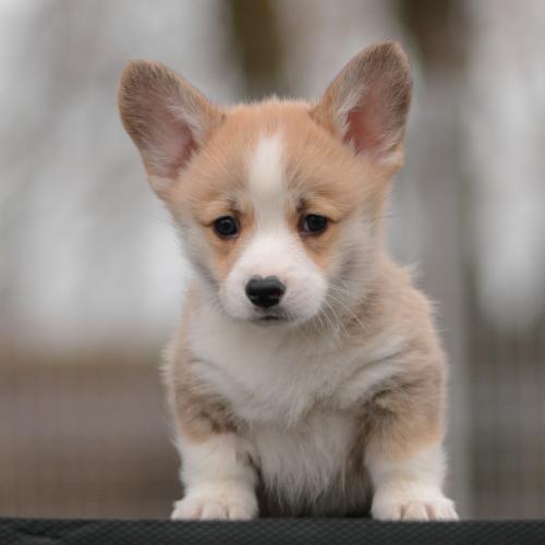 27363912 bc362ad5eaff1db6618015c0bda838a7 xl