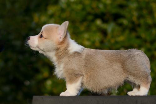 27363914 51d93ed7206e9715a9410be055d7530c xl