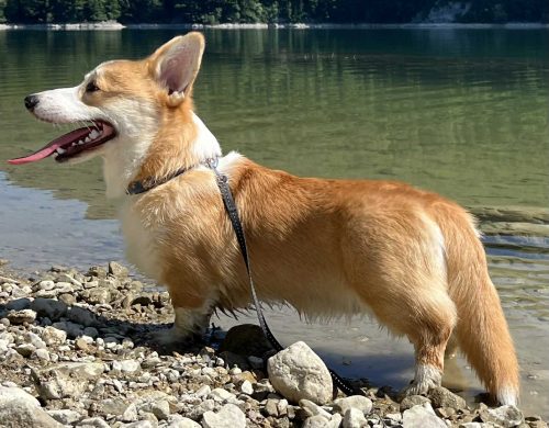 514500610 714599157962135 1935650768815943452 n