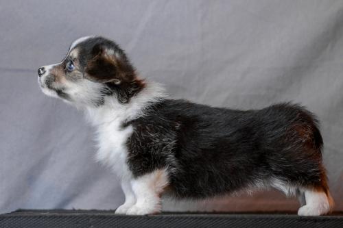 27360764 3da8acbadfa9dfb512ffff67523fd44c xl