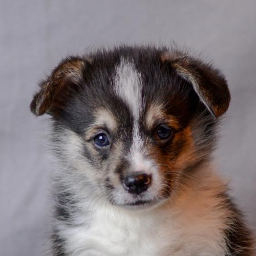 27360766 b0fdd9543671db54f0f1e8a2b11afbaf xl