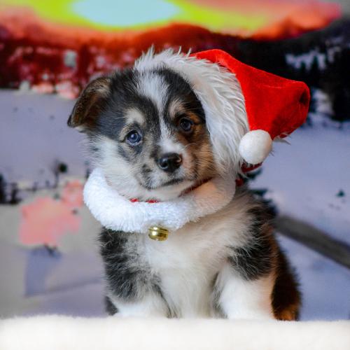 27360784 cbace29e65a26ee69d9311f807e49e55 xl