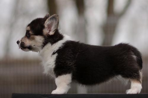 27363892 f8507aba48a883c4005c2fa784c33be5 xl