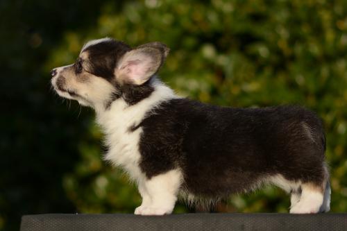 27363894 a4ce11d5e29cc9a4d53f9baa1d4fd469 xl