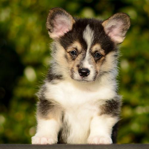 27363898 20c2b26422c3616af6a5f7ab868bb564 xl