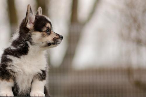 27363918 18311195b63cf118c4f4d8d5641f96f6 xl