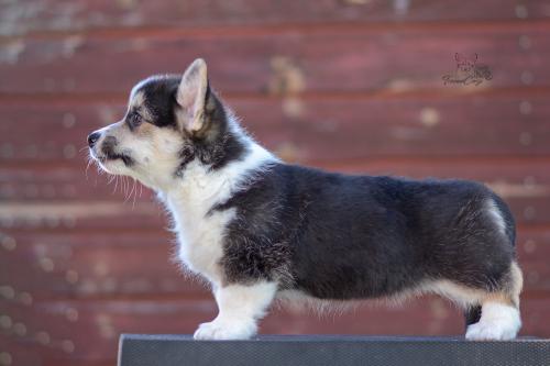 a-10-ylvie-10wsCOE 3447