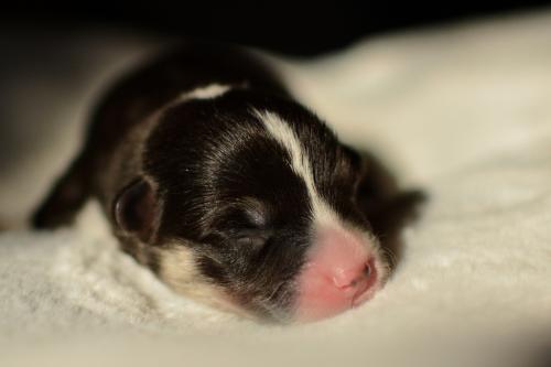 27352506 e1fdcc7c1a04f0402c5ce4e43412e6da xl