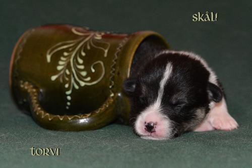 27352548 05581b6d74d6a9e0c1bc6607c04fd6d1 xl